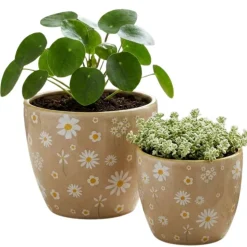 Ceramiczny zestaw donic Honey beżowy