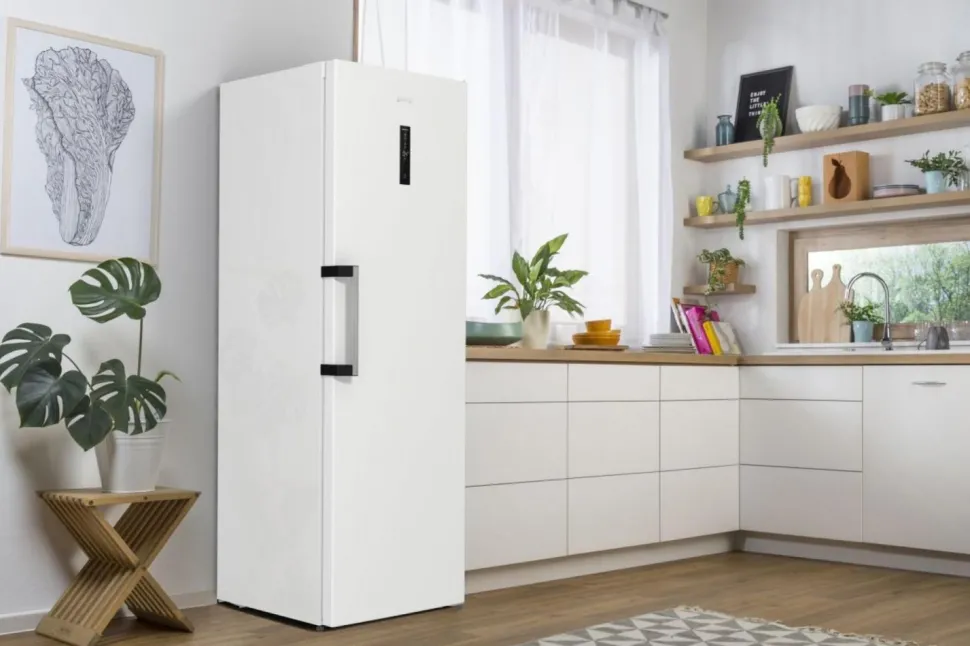 Chłodziarka GORENJE R619EAW6