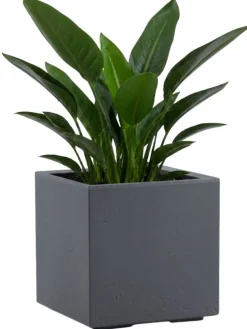 Donica Betonique na kółkach recykling beton szary 30x30xh30 cm