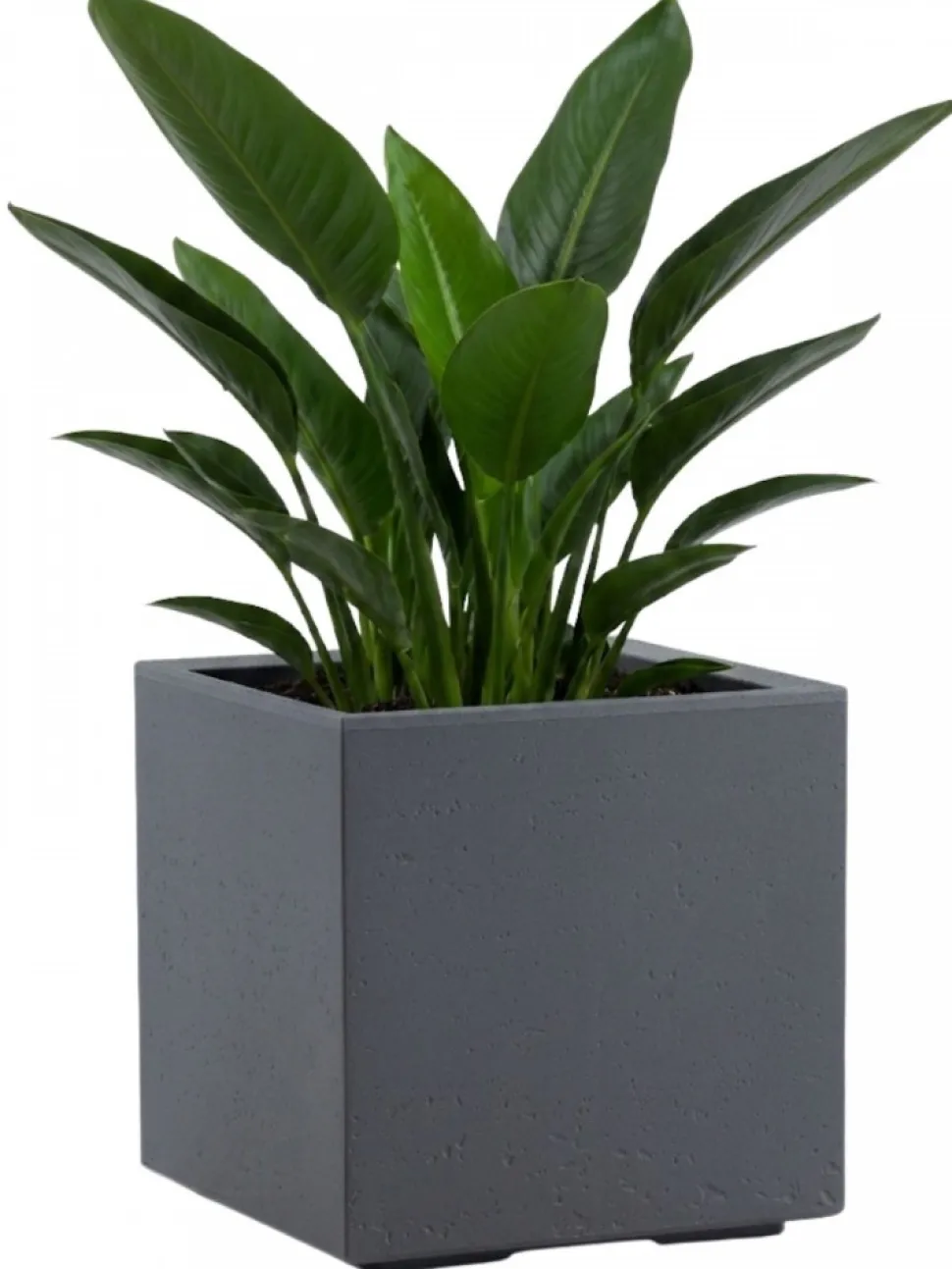 Donica Betonique na kółkach recykling beton szary 30x30xh30 cm