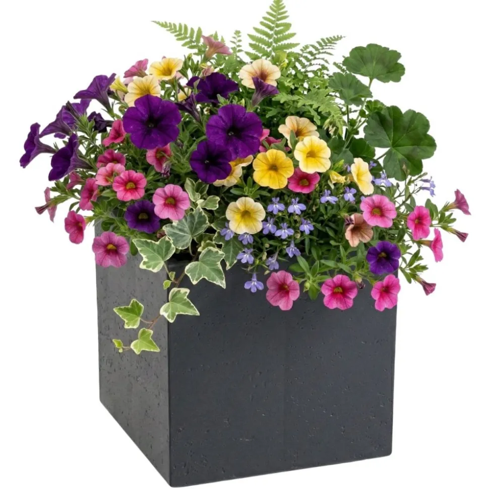 Donica Betonique na kółkach ECO antracyt 30x30xh30 cm