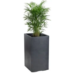 Donica Betonique na kółkach ECO antracyt 30x30xh60 cm