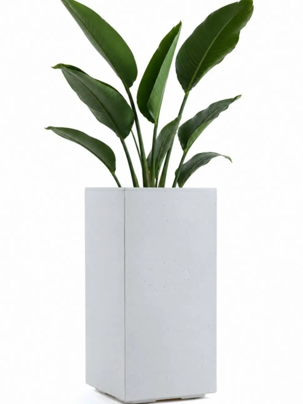 Donica Betonique na kółkach recykling beton kremowy 30x30xh60 cm