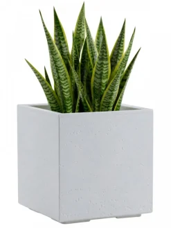Donica Betonique na kółkach recykling beton kremowy 30x30xh30 cm