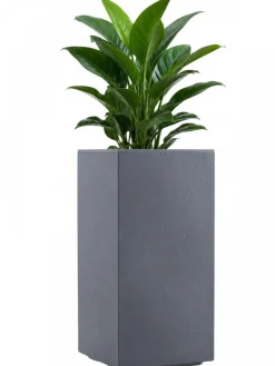 Donica Betonique na kółkach recykling beton szary 30x30xh60 cm