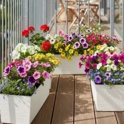 Donica Bouquet Riflo kremowy 56xh19 cm