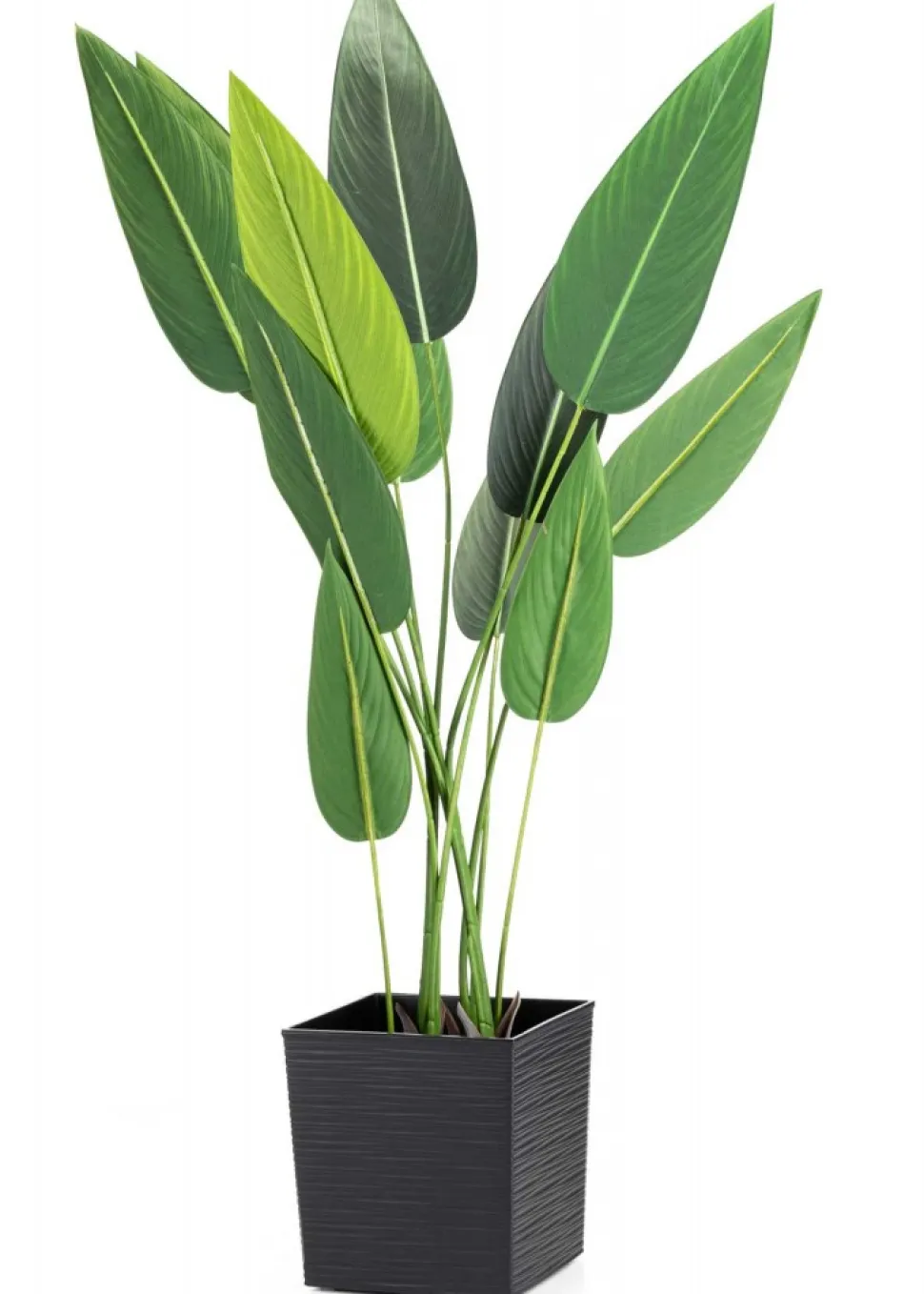 Donica Flore Riflo czarna h25x25 cm