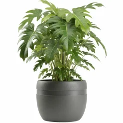 Donica LUNA CLASSIC antracyt 40 cm