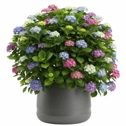 Donica LUNA WAZA antracyt 42 cm