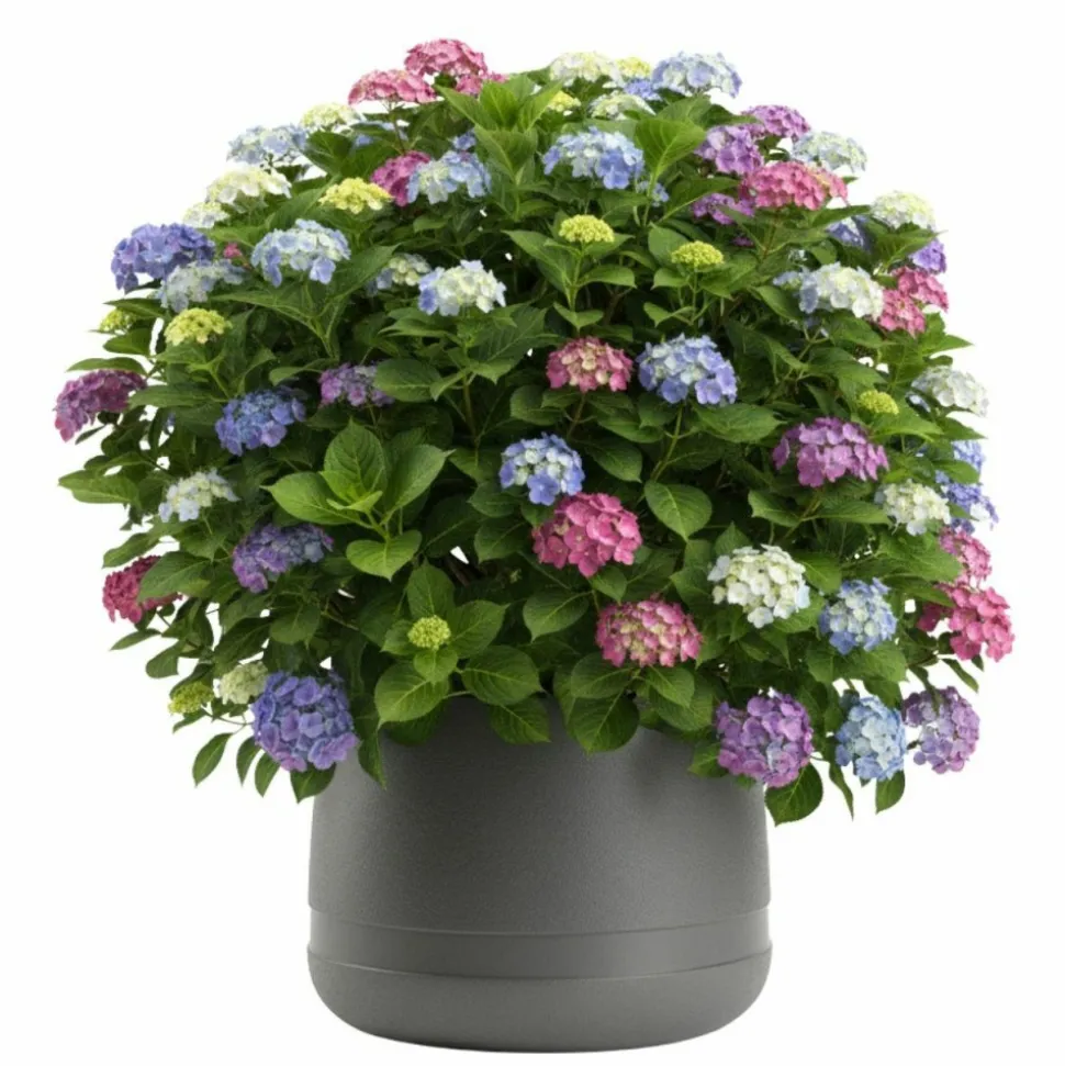 Donica LUNA WAZA antracyt 42 cm