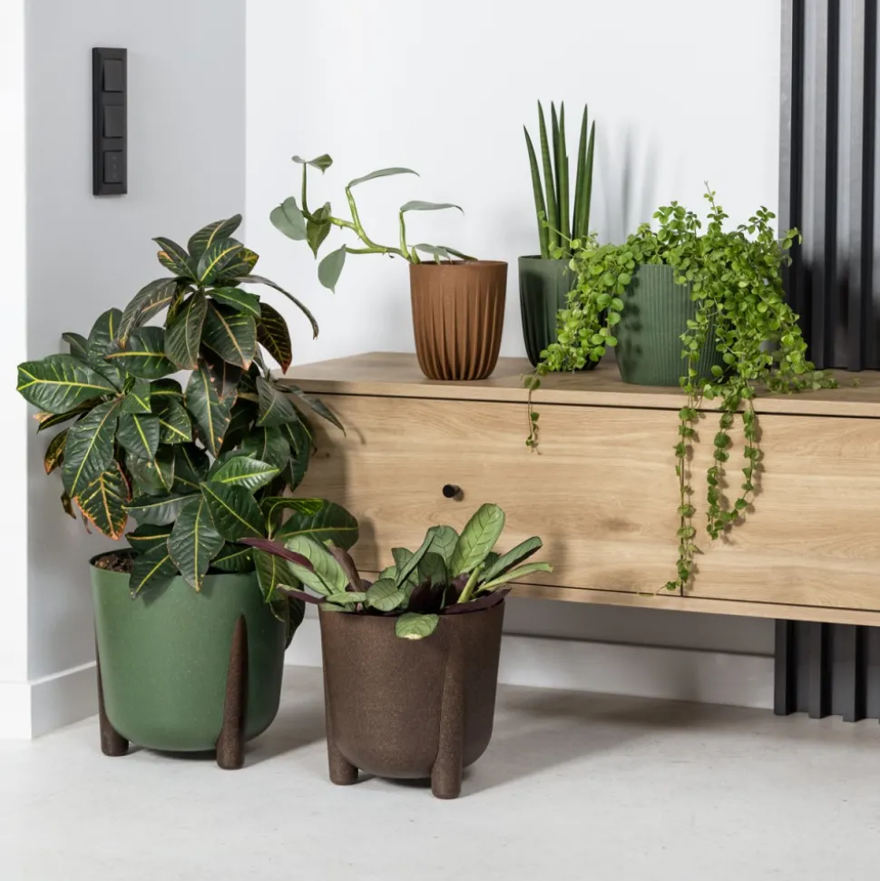 Donica Moss ECO coffee latte 26xh25 cm