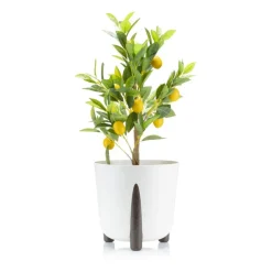 Donica Moss ECO recykling złamana biel 34xh32