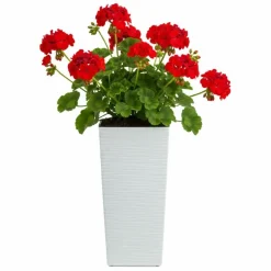 Donica Porto Riflo biała h36,6x18,9x18,9 cm