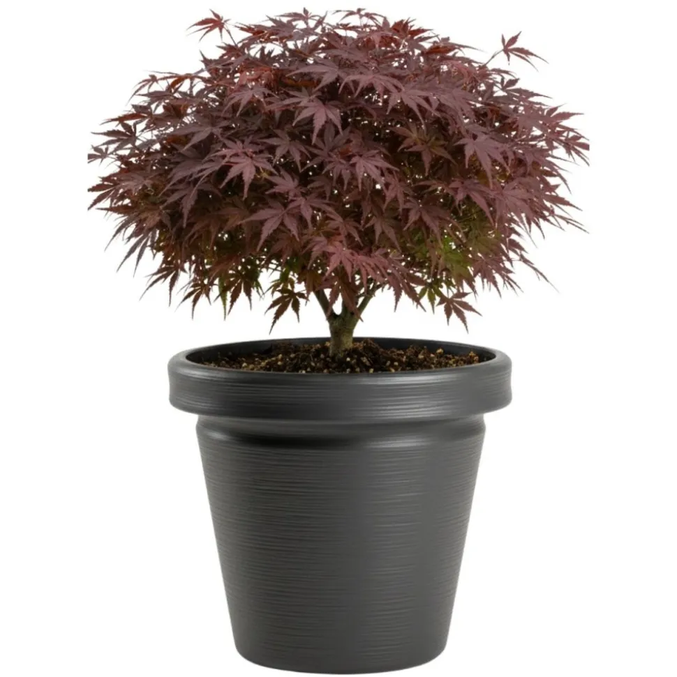 Donica Srtia Riflo antracyt h40x46 cm