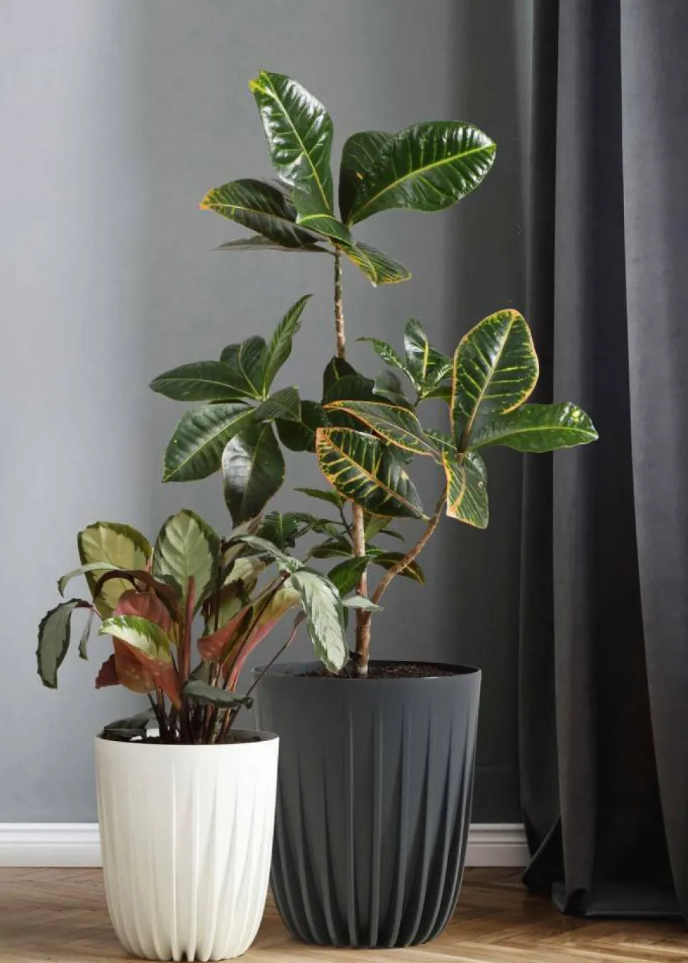 Donica Stripped ECO wood zielona 39xh46 cm
