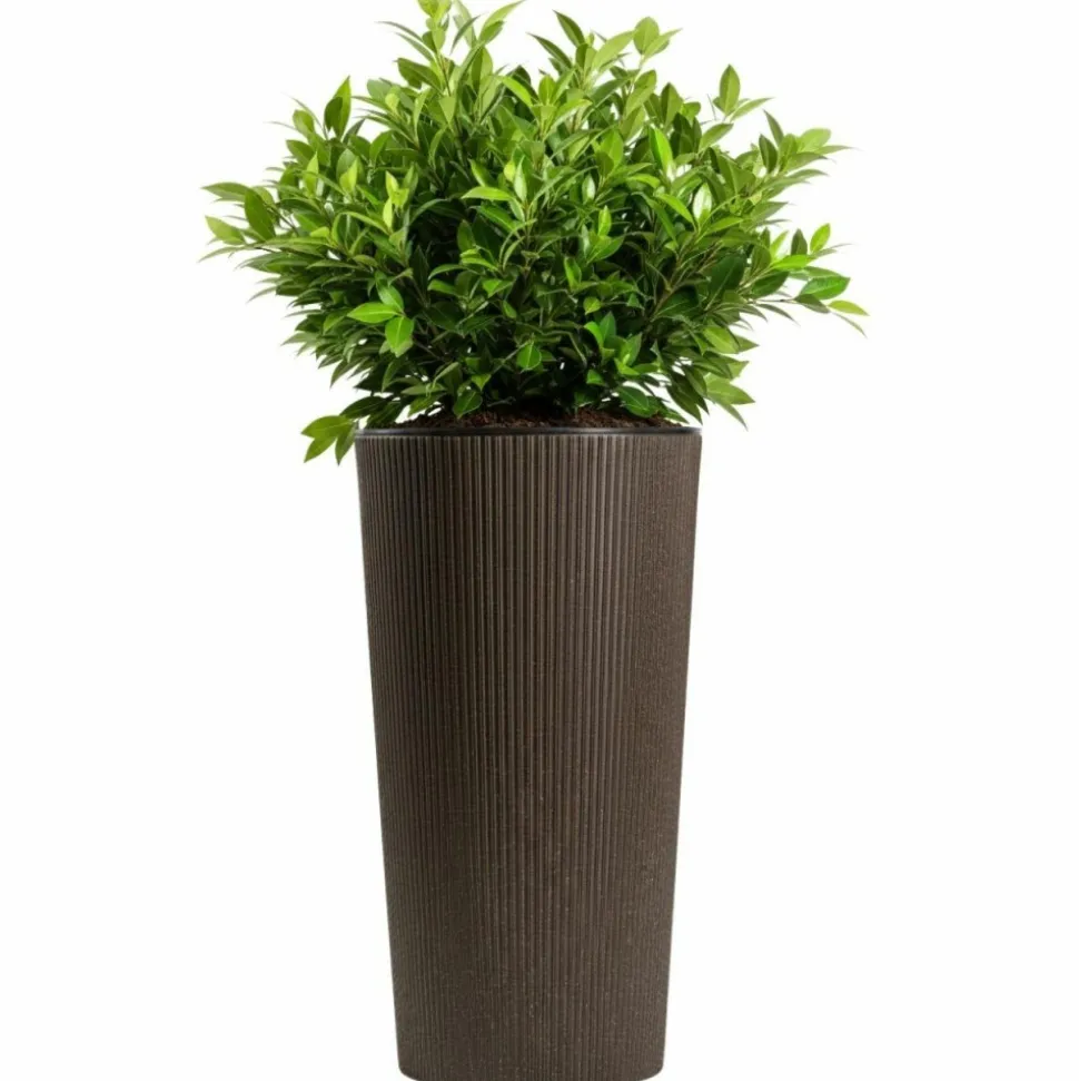 Donica Urbanika coffee espresso h57,1x29,5 cm
