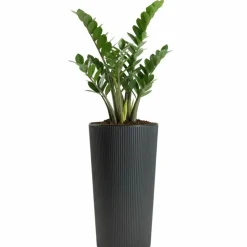 Donica Urbanika ECO antracyt h46,6x25,5 cm