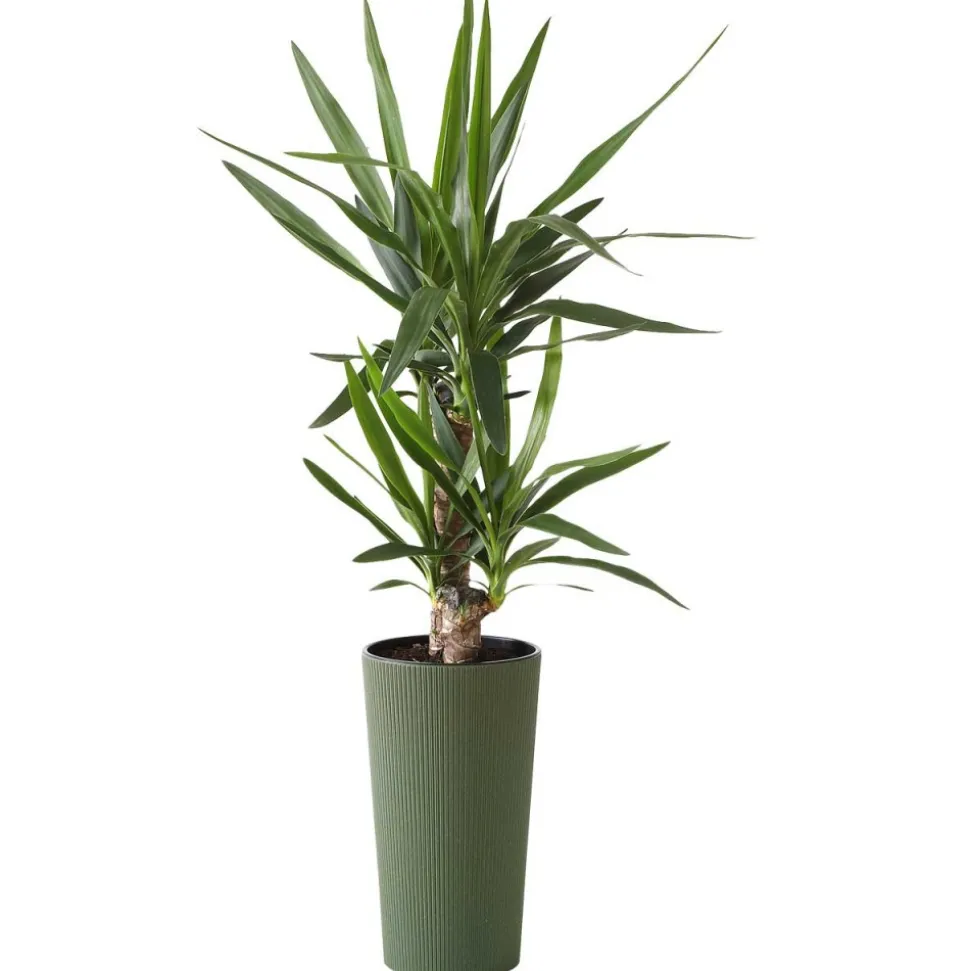 Donica Urbanika ECO wood zielony h46 cm