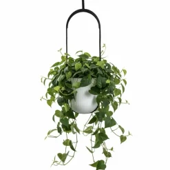 Donica wisząca AERA HANG biała 17,9 cm