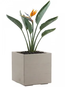 Donica Betonique na kółkach deska recykling beż 30x30xh30 cm * HowHomely Outlet