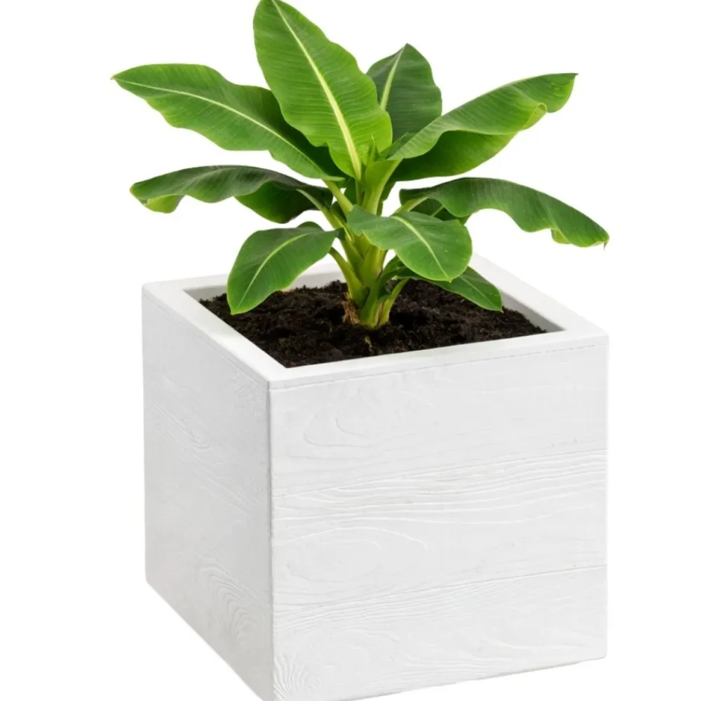 Donica Betonique na kółkach deska recykling kremowy 30x30xh30 cm * HowHomely