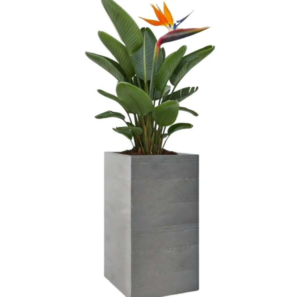 Donica Betonique na kółkach deska recykling szara 30x30xh60 cm * HowHomely Online