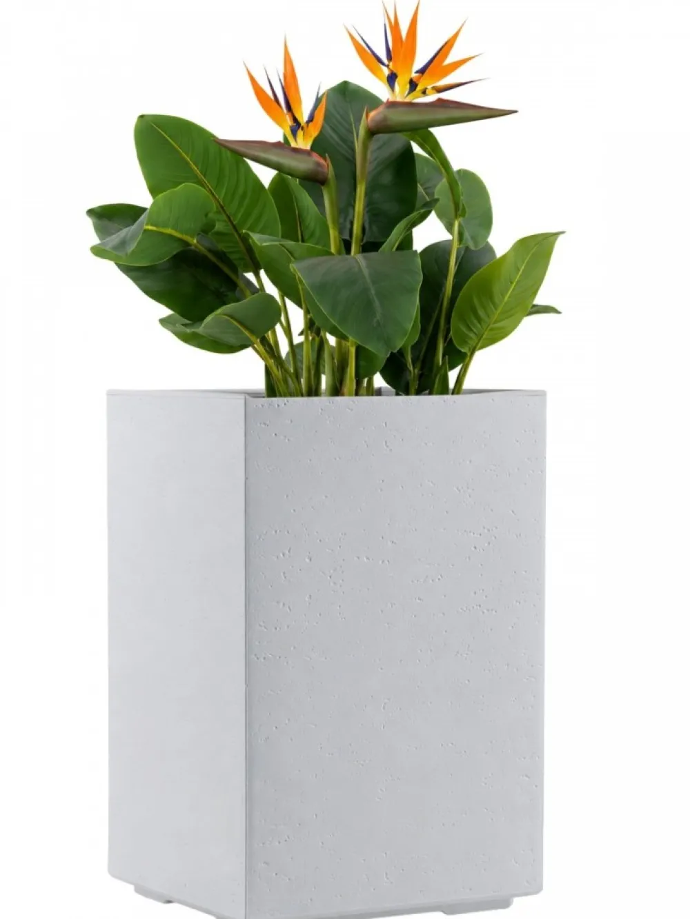 Donica Betonique na kółkach recykling beton kremowy H60x40 cm * HowHomely Discount