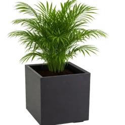 Donica Betonique na kółkach recykling czarny 40x40xh40 cm * HowHomely Online
