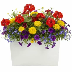 Donica Bloom Riflo kremowy h36,2x56,1cm * HowHomely Best