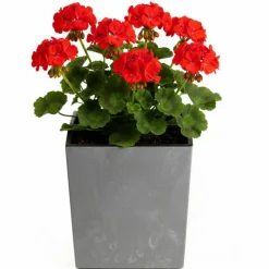 Donica Flore Szary Beton h30,5x29,5x29,5 cm * HowHomely Best