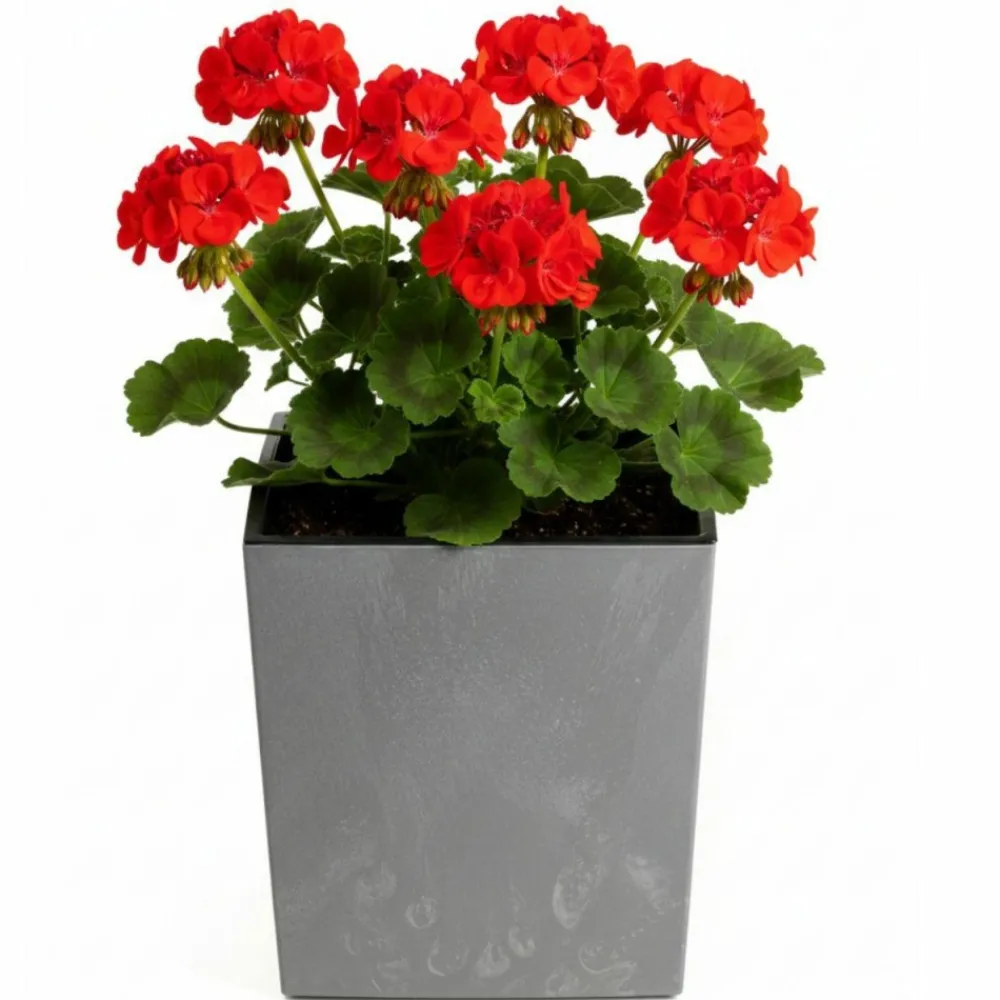 Donica Flore Szary Beton h30,5x29,5x29,5 cm * HowHomely Best