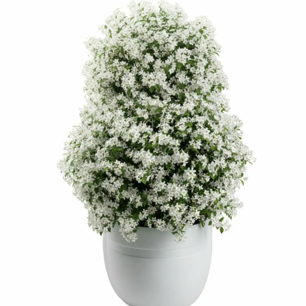 Donica LUNA CLASSIC biała 45,6 cm * HowHomely Outlet