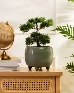 Donica na nóżkach botanica szarozielona 23xh18 cm * HowHomely Sale