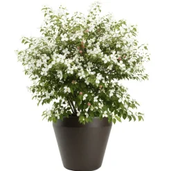 Donica ogrodowa Purea mokka h41,2x46,4 cm * HowHomely Online