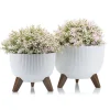 Donica Rosa linea ECO recykling biała 24xh15 cm * HowHomely Discount