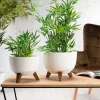 Donica Rosa linea ECO wood biała 29xh18 cm * HowHomely Clearance