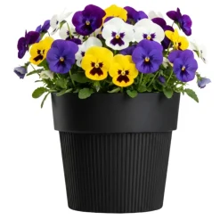 Donica SILVA LINE recykling czarna h12,7x14,5 cm * HowHomely Best