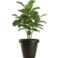 Donica Srtia Riflo mokka h40x46 cm * HowHomely Sale