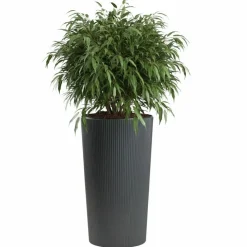 Donica Urbanika ECO antracyt h75x40,9 cm * HowHomely Hot