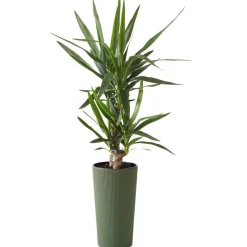 Donica Urbanika ECO wood zielony h57 cm * HowHomely Hot