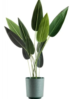 Doniczka Aloe Texelle awokado h27x25,4 cm * HowHomely Online