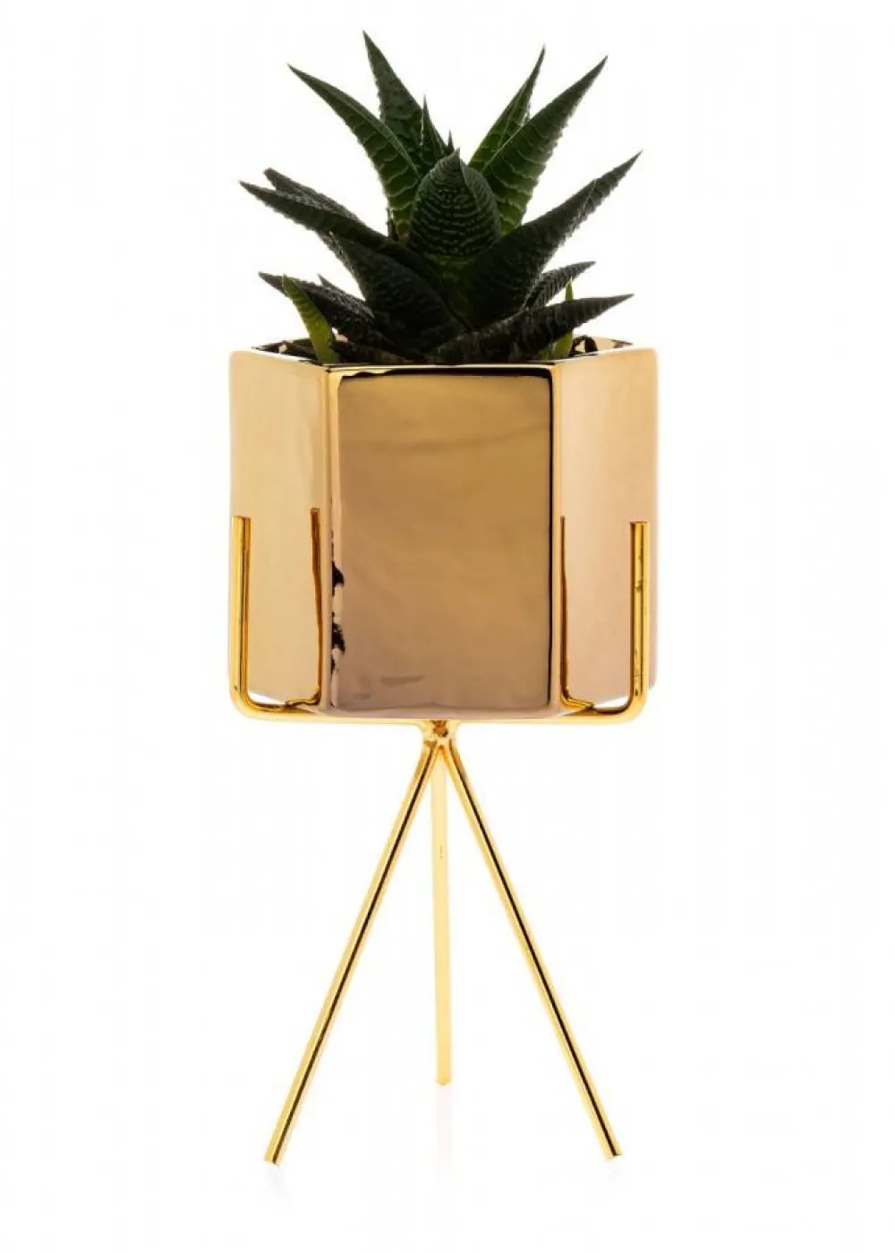 Doniczka Sashi Gold 20 cm * HowHomely New
