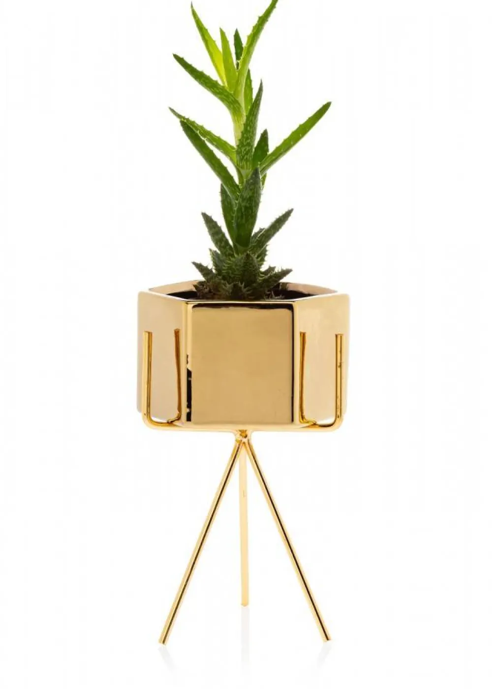 Doniczka Sashi Gold 18,5 cm * HowHomely Online