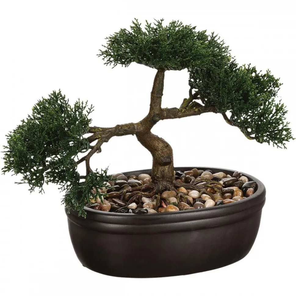 Drzewko bonsai w czarnej doniczce 23 cm