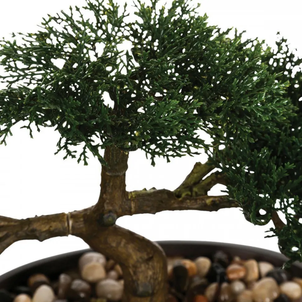 Drzewko bonsai w czarnej doniczce 23 cm