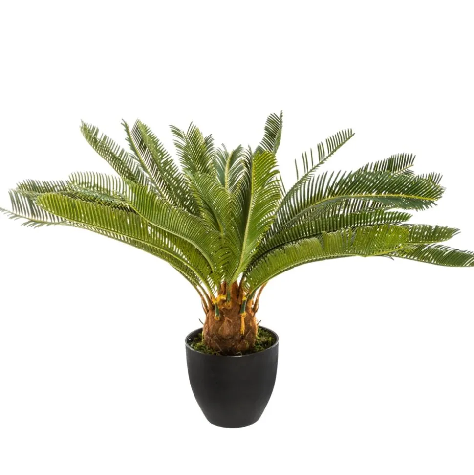 Drzewko palmowe w doniczce 68 cm