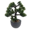 Drzewko Bonsai sztuczne 31 cm iglaste * Progarden Hot