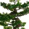 Drzewko bonsai w czarnej doniczce 80 cm * Atmosphera Online