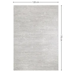 Dywan SALENA8 jasnoszary 120x170 cm