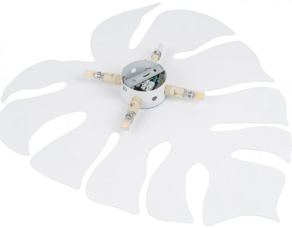 Kinkiet MONSTERA Biały 4xG9 * TK Lighting Online